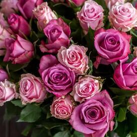 Букет из 51 розовой розы микс 50см