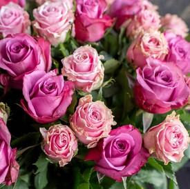 Букет из 51 розовой розы микс 50см