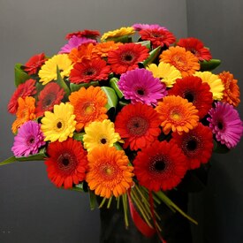 Букет из 35 гербер