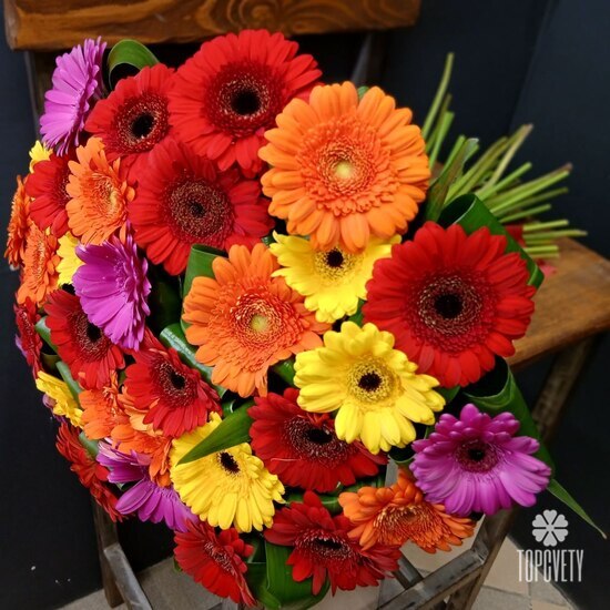 Букет из 35 гербер