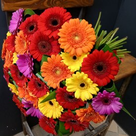 Букет из 35 гербер