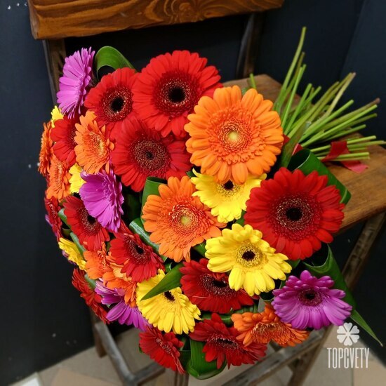 Букет из 35 гербер