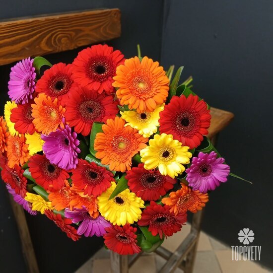 Букет из 35 гербер