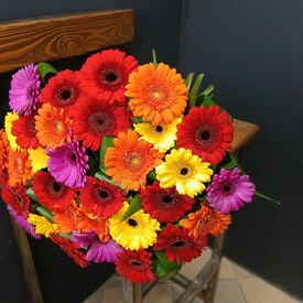 Букет из 35 гербер