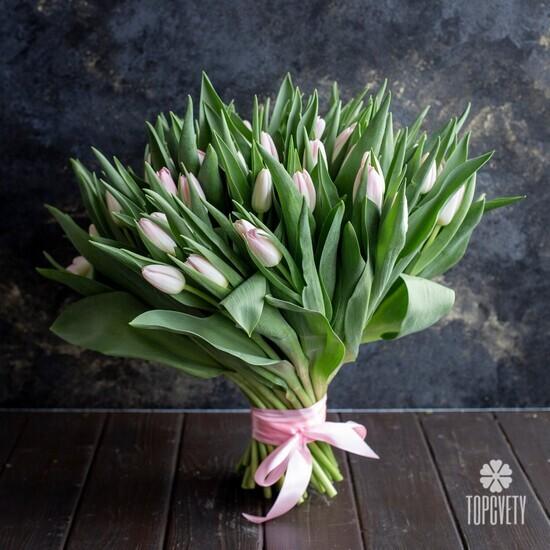 Букет из 51 розового тюльпана 