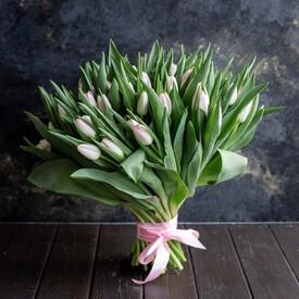 Букет из 51 розового тюльпана 