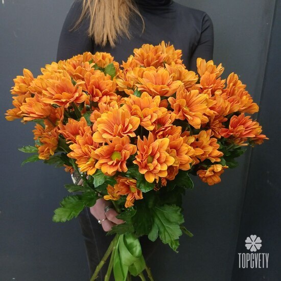 букет из 9 кустовых хризантем 