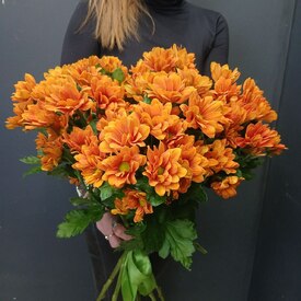 Букет из 9 кустовых хризантем 