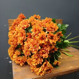 букет из 9 кустовых хризантем 