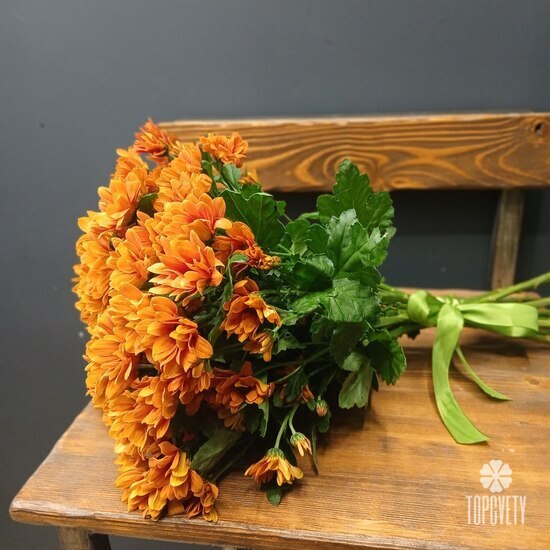 букет из 9 кустовых хризантем 