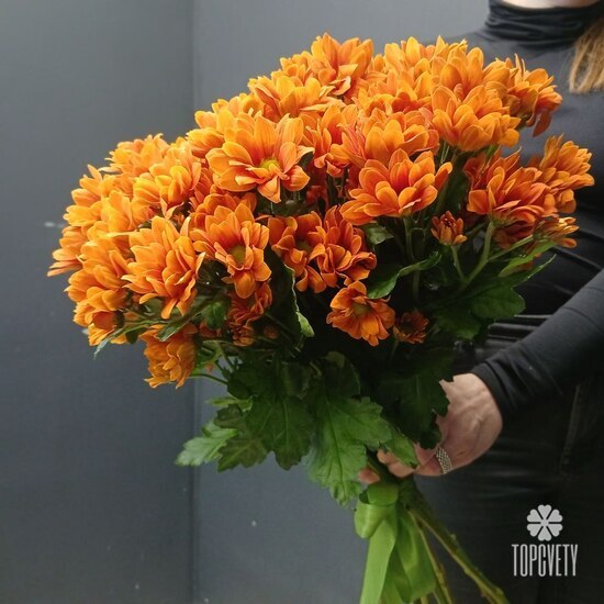 букет из 9 кустовых хризантем 