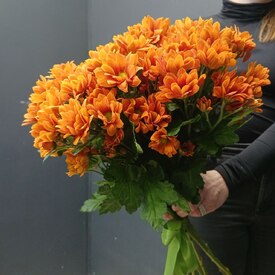 букет из 9 кустовых хризантем 
