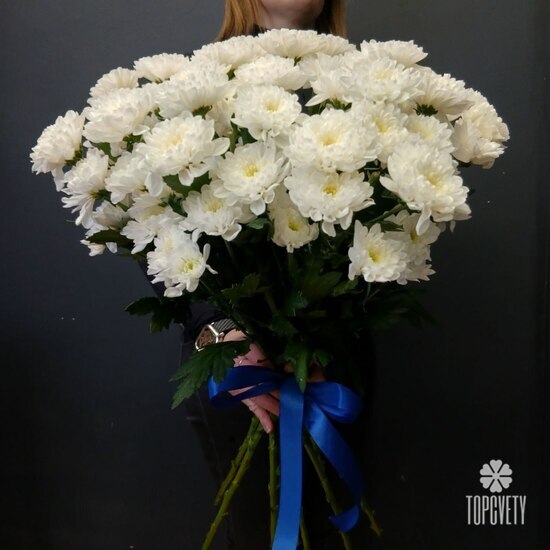 Букет из 9 кустовых хризантем