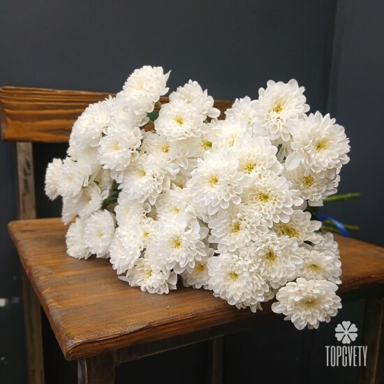 Букет из 9 кустовых хризантем