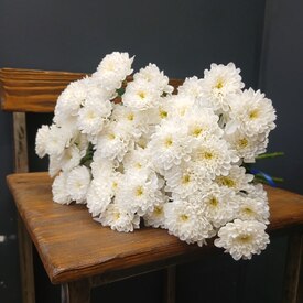 Букет из 9 кустовых хризантем