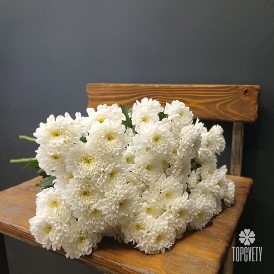 Букет из 9 кустовых хризантем