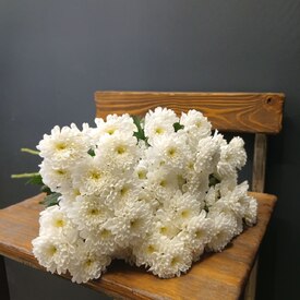 Букет из 9 кустовых хризантем