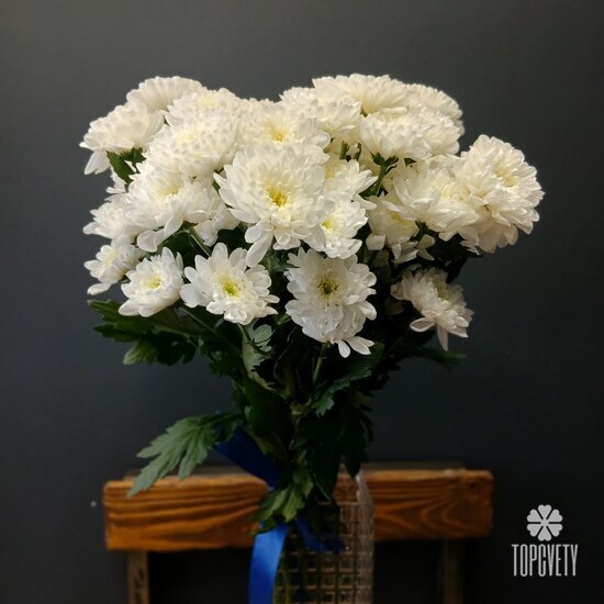 Букет из 9 кустовых хризантем