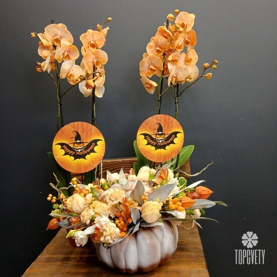 Орхидея двухствольная