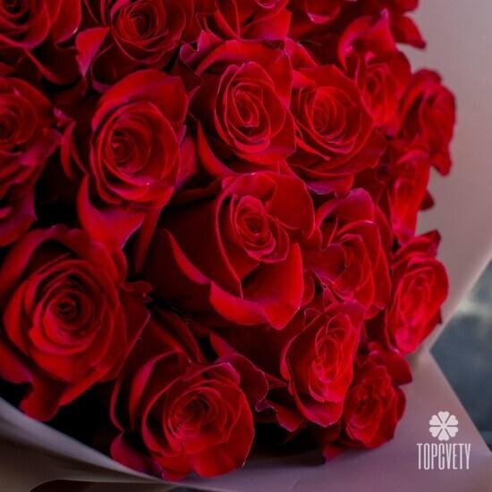 Букет из 25 красных роз Фридом 70см