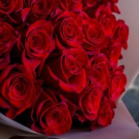 Букет из 25 красных роз Фридом 70см