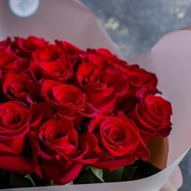 Букет из 25 красных роз Фридом 70см