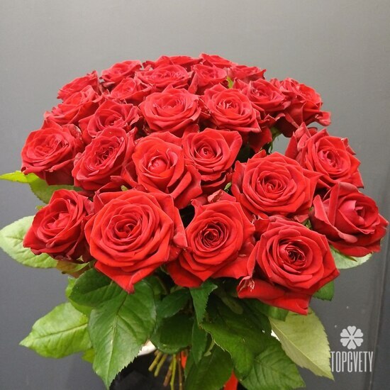 Букет из 25 роз Ред Наоми 50см