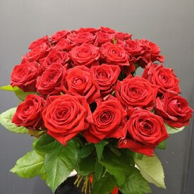 Букет из 25 роз Ред Наоми 50см