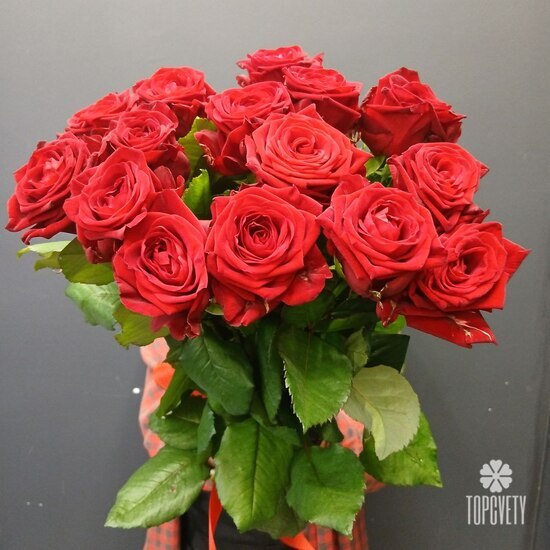Букет из 15 роз Ред Наоми 50см