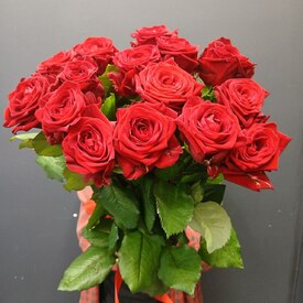 Букет из 15 роз Ред Наоми 50см