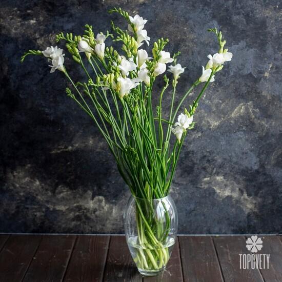 Букет из 21 белой фрезии 