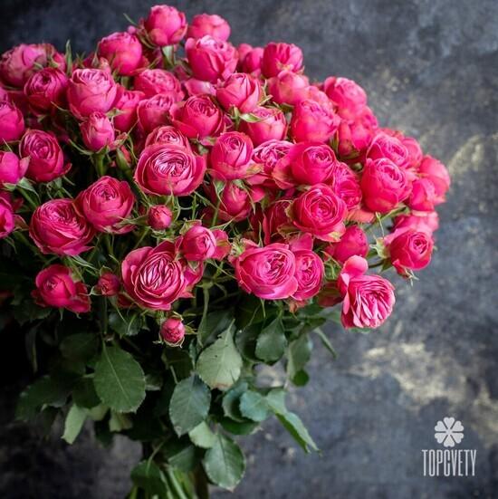 Букет из 25 кустовых пионовидных роз  