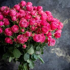 Букет из 25 кустовых пионовидных роз  