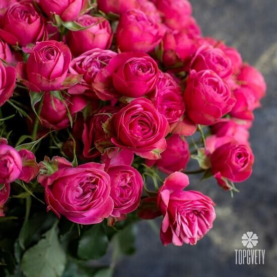 Букет из 25 кустовых пионовидных роз  