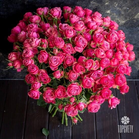Букет из 25 кустовых пионовидных роз  