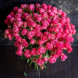 Букет из 25 кустовых пионовидных роз  