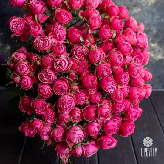 Букет из 25 кустовых пионовидных роз  