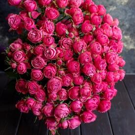 Букет из 25 кустовых пионовидных роз  