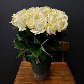 Букет из 25 роз Аваланж 50см