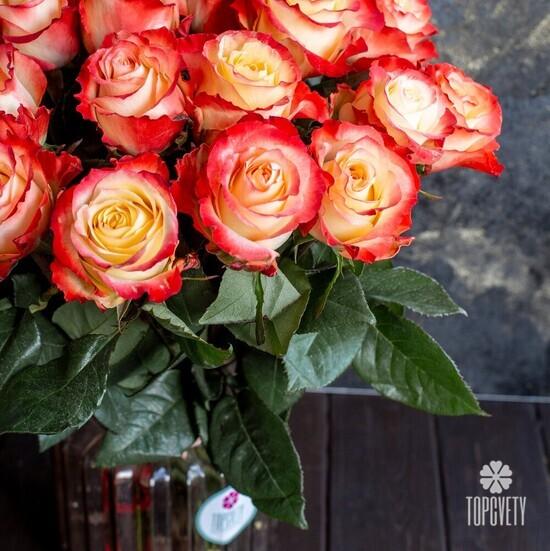 Букет из 25 оранжевых роз Кабарет 