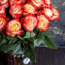 Букет из 25 оранжевых роз Кабарет 