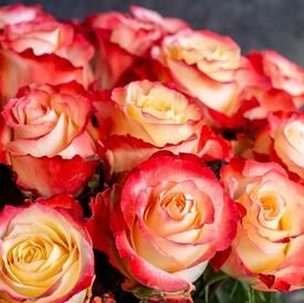 Букет из 25 оранжевых роз Кабарет 