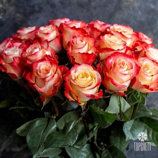 Букет из 25 оранжевых роз Кабарет 