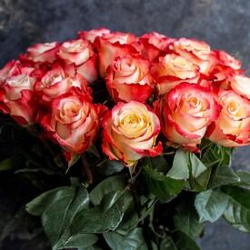 Букет из 25 оранжевых роз Кабарет 