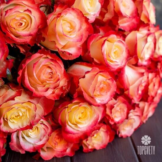 Букет из 25 оранжевых роз Кабарет 