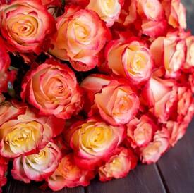 Букет из 25 оранжевых роз Кабарет 