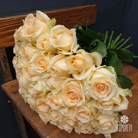 Букет из 35 кремовых роз 50см
