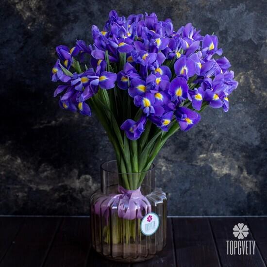 Букет из 35 синих ирисов 