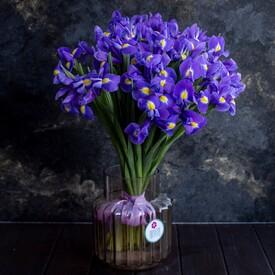 Букет из 35 синих ирисов 