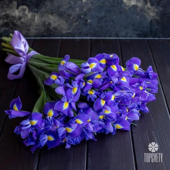 Букет из 35 синих ирисов 